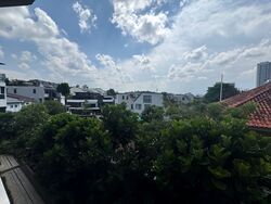 Peak Residence (D11), Condominium #569348971